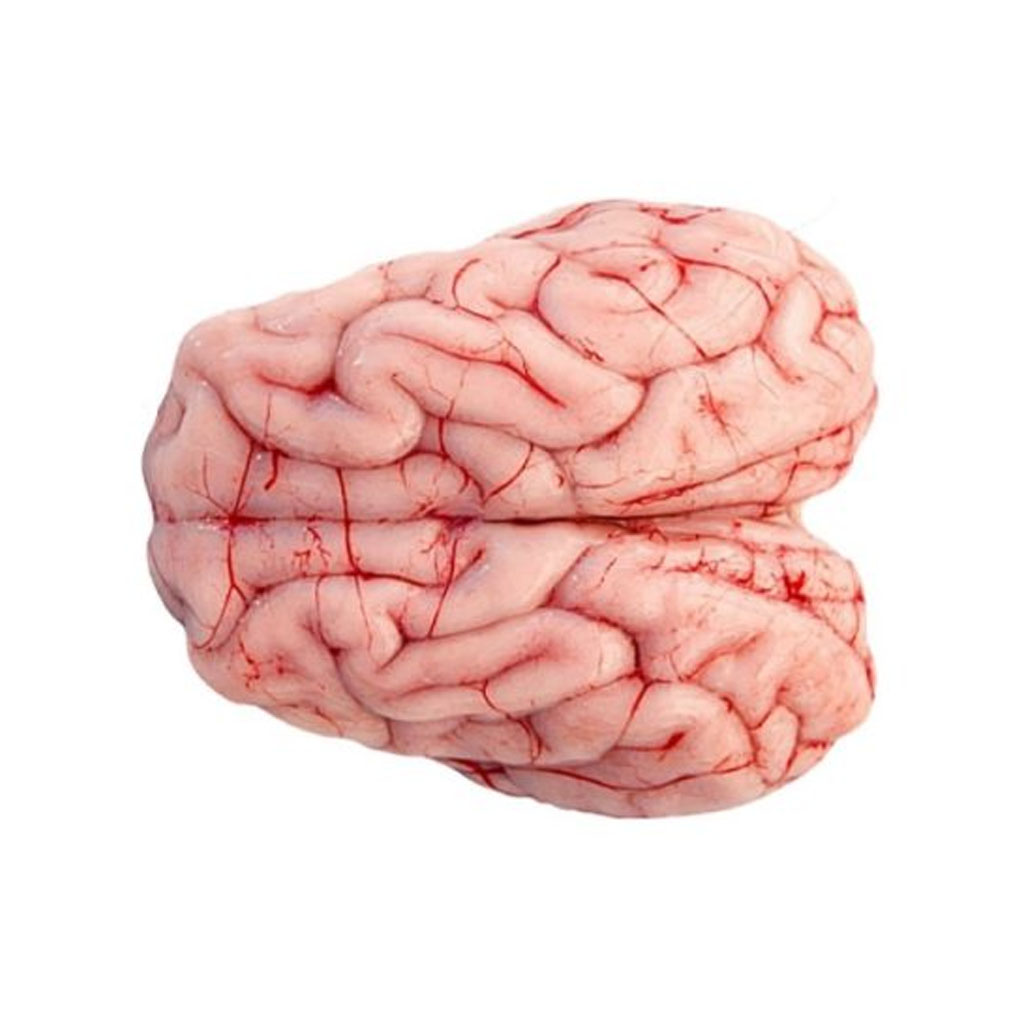 Lamb Brain (Australia) Price Variable:: Depending On Weight:: 1200gm ~1700gm