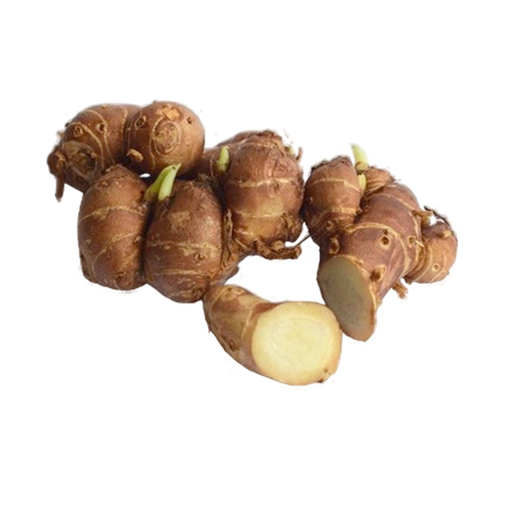 Kencur / Lesser Galangal