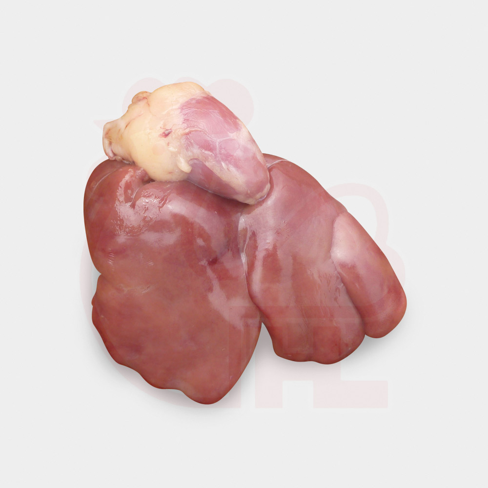 Chicken Liver (HL)(Malaysia)