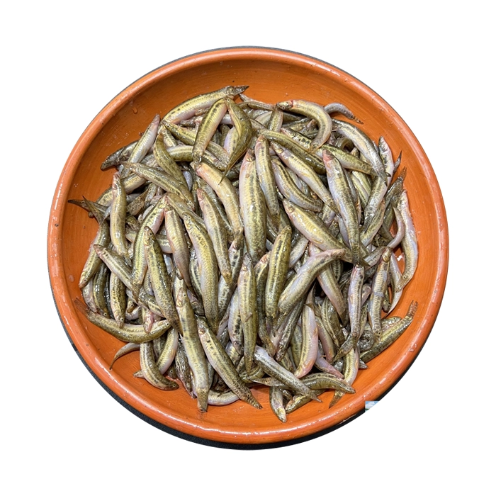 Gutum Fish