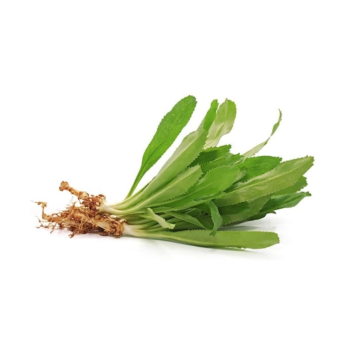 Bileti leaf/Long Coriander Leaf (Green) With Native / Deshi Flavor & Taste (Frozen)