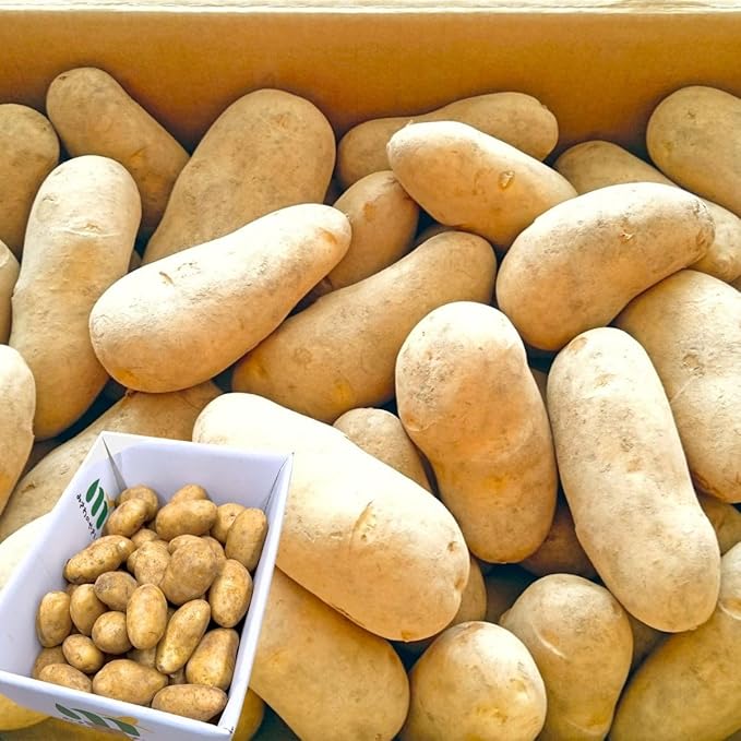 Fresh Potatoes/Alu (Can be added to Dry item orders Only)