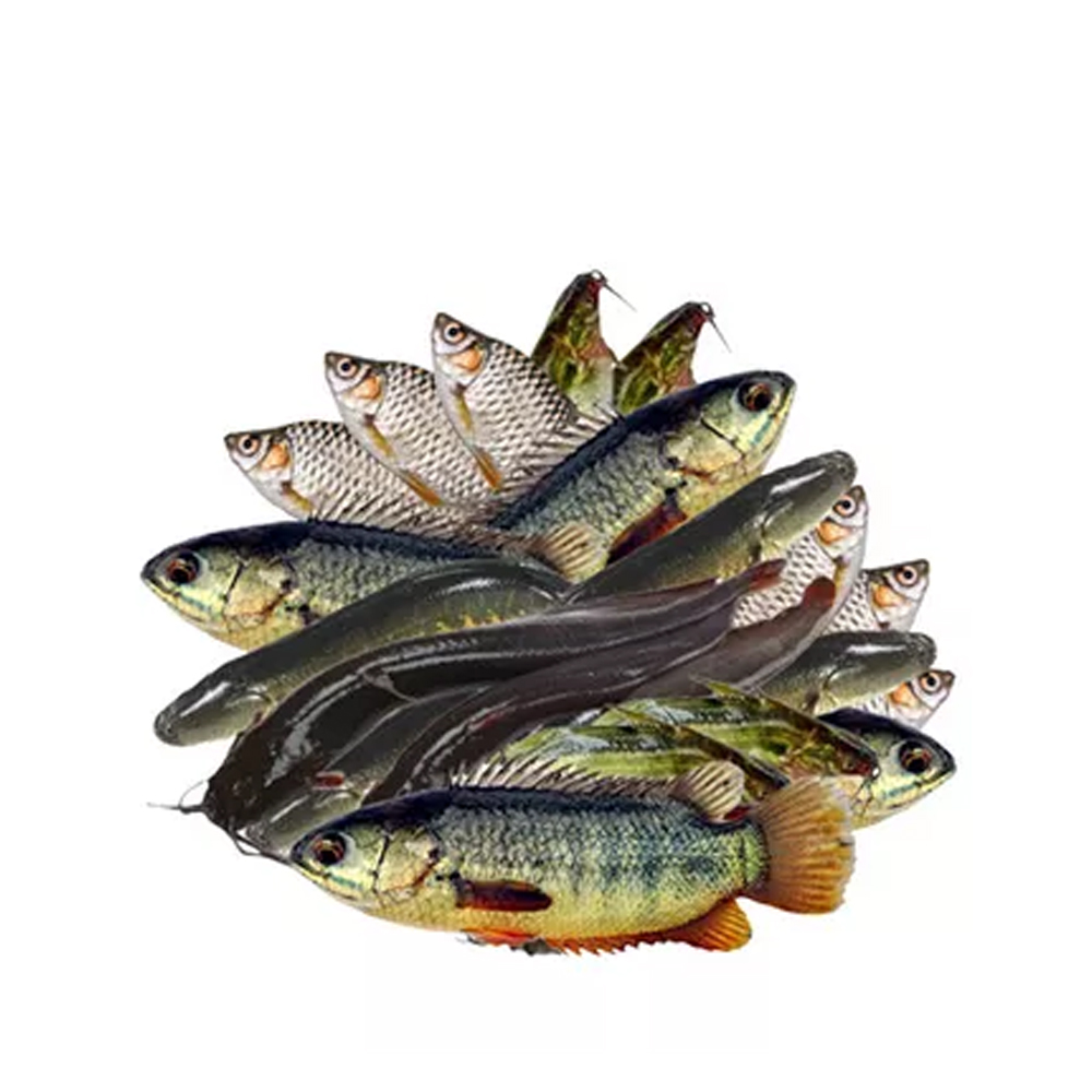 Mixed Fishes 2X250gm