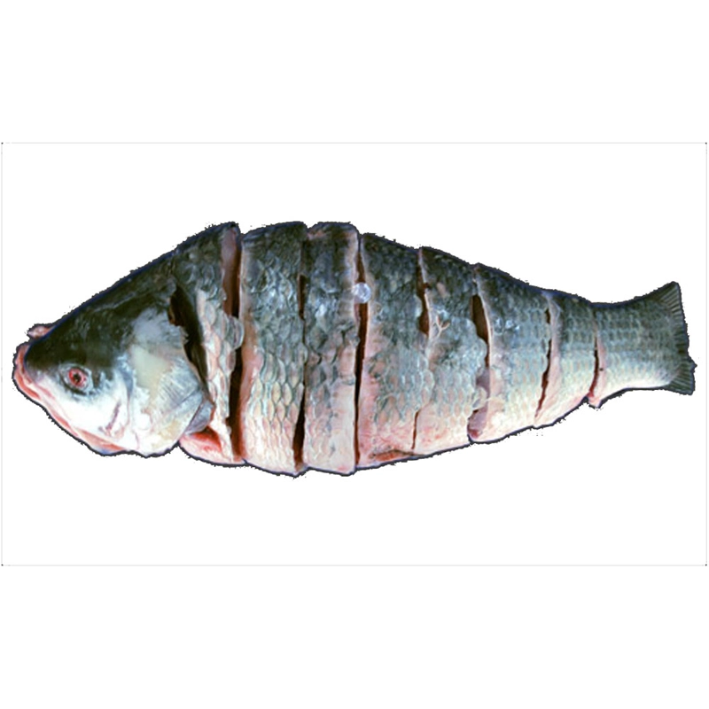 Ruhi Whole  Cut *With Fresh Shad (Taste)* :: 2-2.01kg [Variable Price]