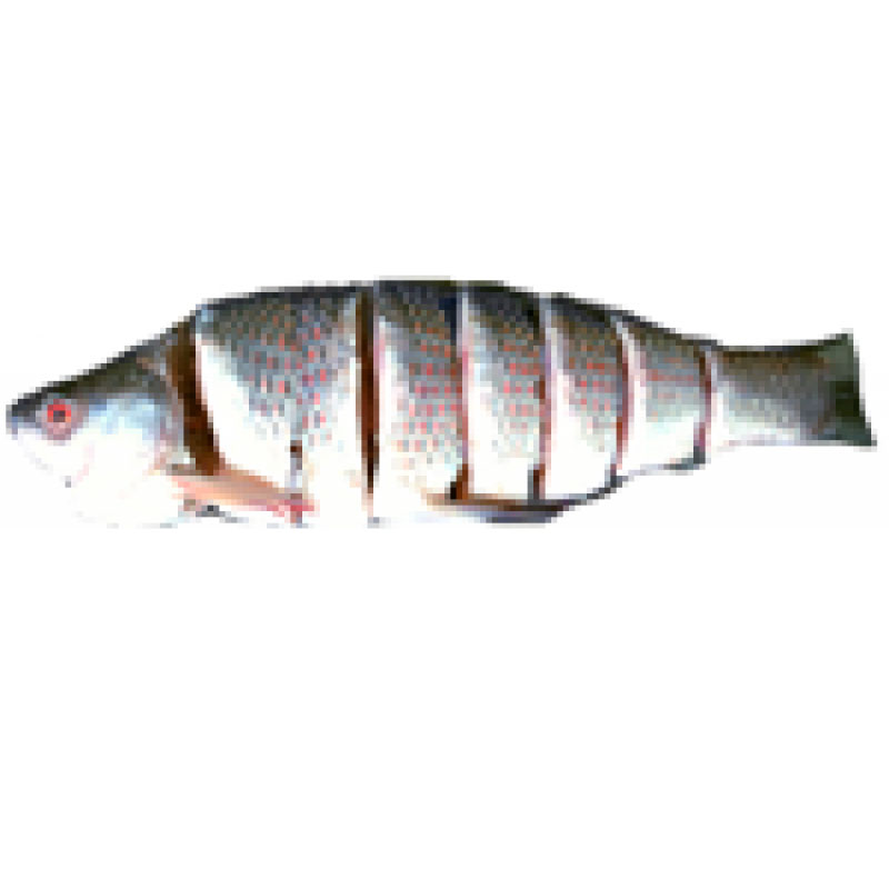 Ruhi Whole  Cut *With Fresh Shad (Taste)* :: 3.0-3.01kg [Variable Price]