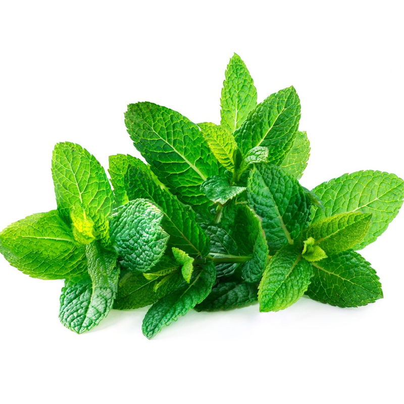 Mint Leaves / Pudina Pata (Fresh / Frozen)(Big)
