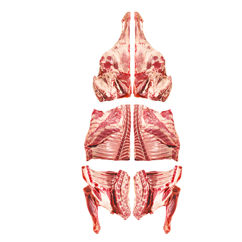 Mutton Carcass / Whole Mutton Cut [6 Pieces][Price Variable][1095yen/kg][13-17kg)=16425yen]