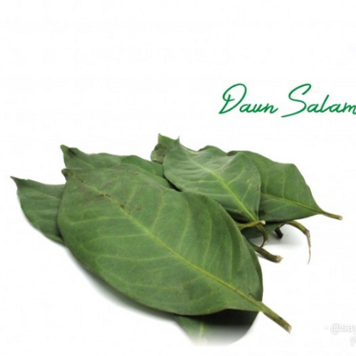 Daun Salam (Frozen)